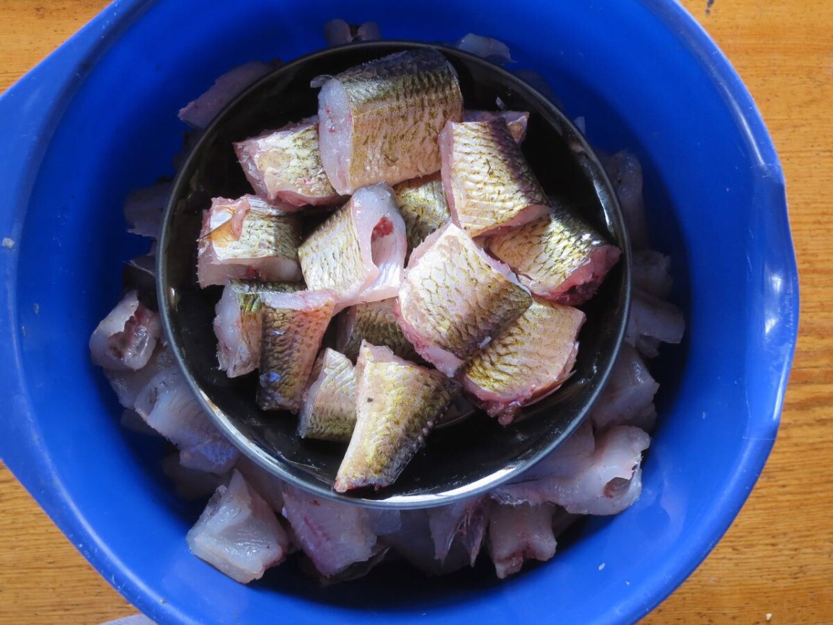 Purkkikalaa ja mätiherkkua särjestä - Lasipurkkikala on todellista  kotimaista lähiruokaa ja maukasta suuhun pantavaa | Kuusamon Seutu