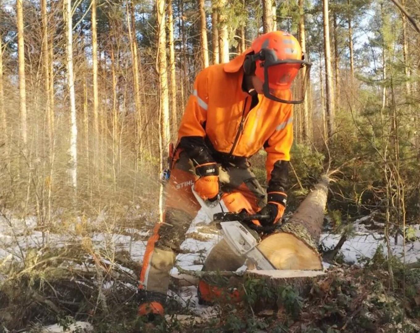 Kärsämäkinen Markus Puolimatka halusi metsuriksi jo lapsena: 