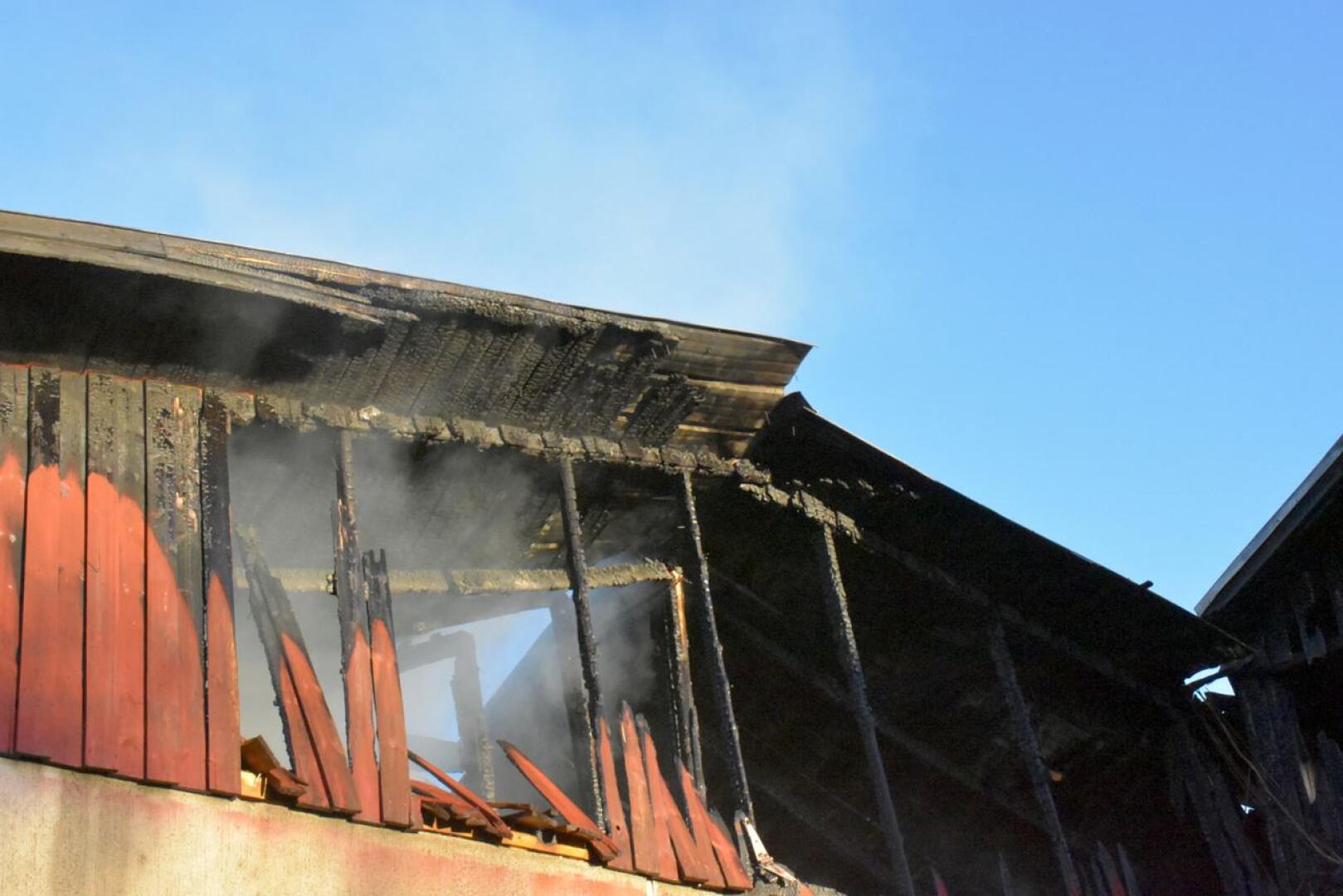 Sikalarakennuksen katto tuhoutui palossa pahoin. 
