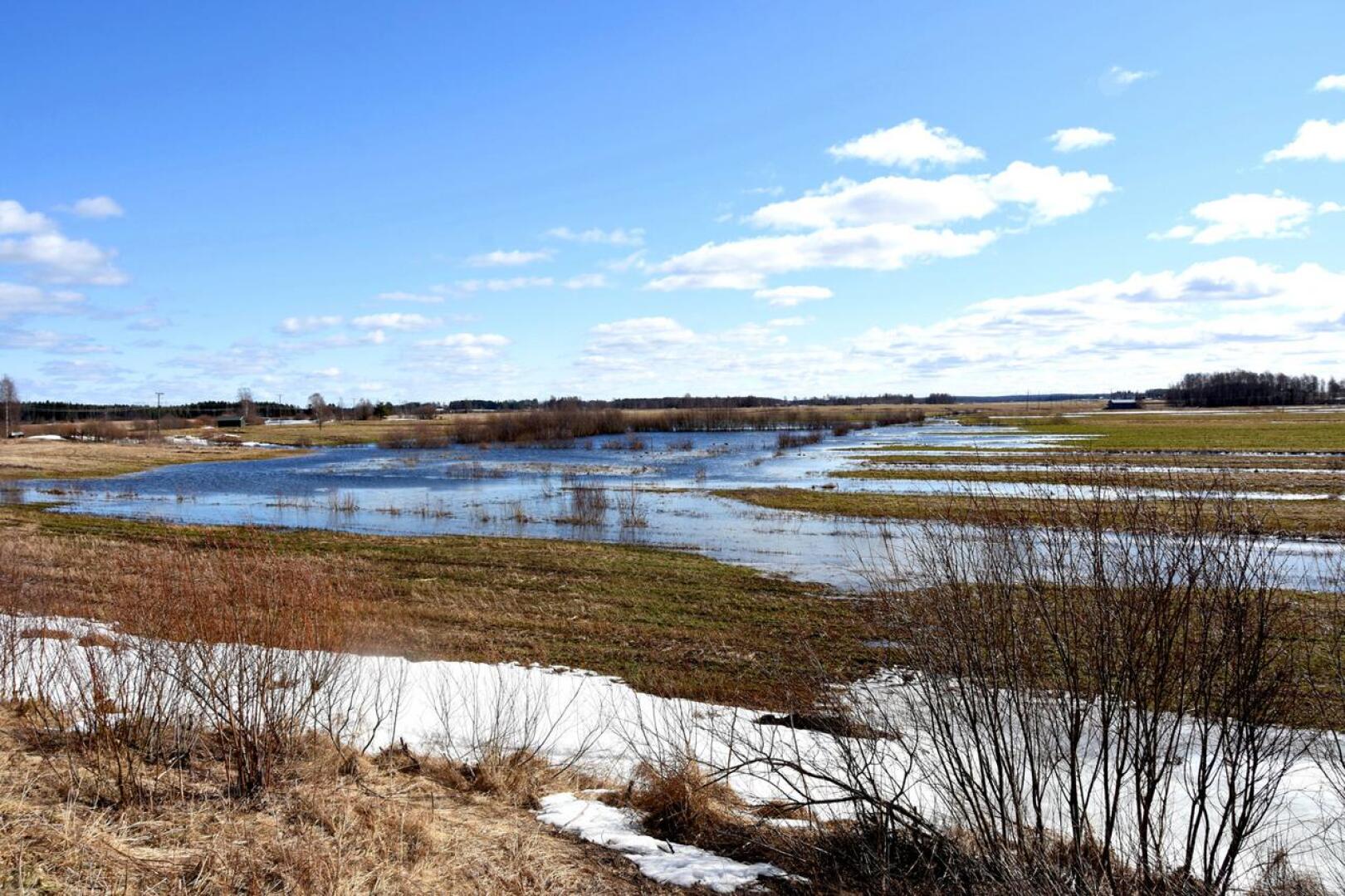 Keväälle 2022 ennakoidaan keskimääräistä suurempaa tulvaa. Kuvassa huhtikuun 2021 tulvia Vattukylältä.