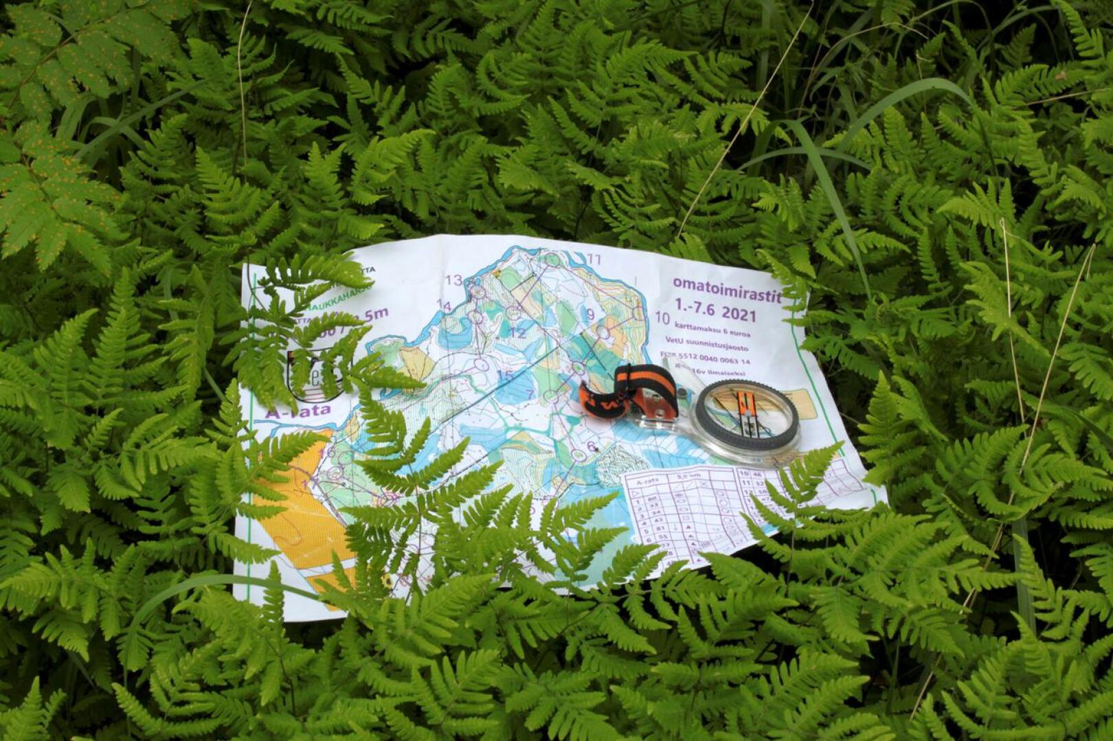 Kompassi ja paperinen kartta on hyvä olla mukana marjastusreissulla. Kompassin käyttö kannattaa opetella jo ennen metsään menemistä.