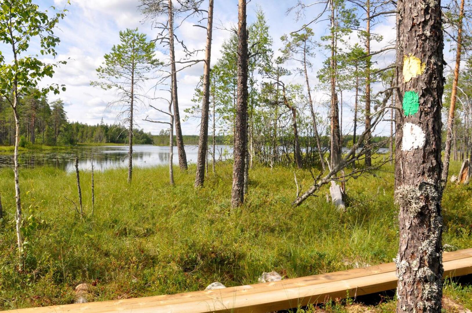 Metsähallituksen tiedotteessa luvataan, että pitkospuiden uusiminen Salamajärven kansallispuistossa jatkuu. Lisäksi puistossa tehdään kävijätutkimus. 