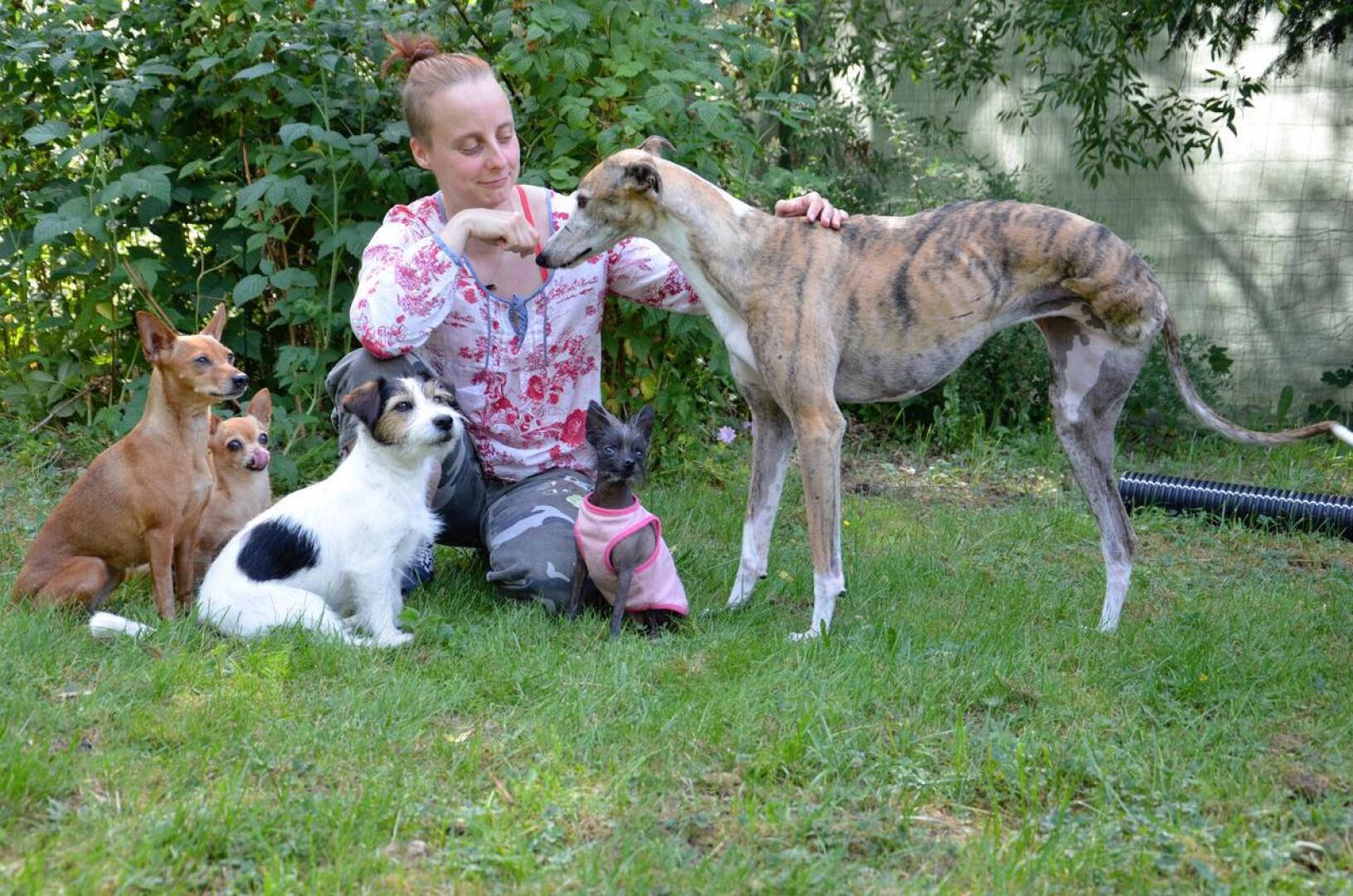 Jaana Siermala sekä koirat Venla (vasemmalla), Papu, Näkki, Diva ja Luna. 