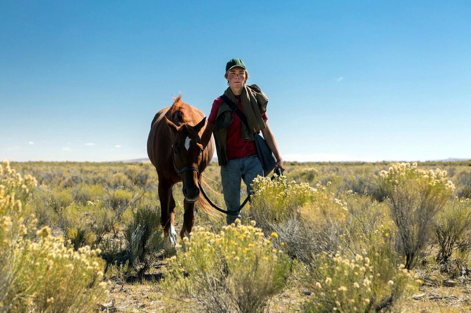 Orpopoika Charley (Charlie Plummer) tukeutuu hevoseensa Peteen pitkällä matkalla tädille, jonka on nähnyt viimeksi lapsena. 