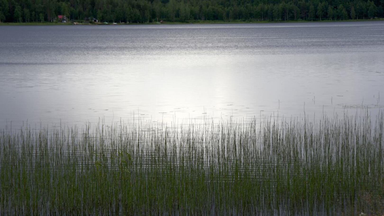 Alkuviikosta molemmilla Vatjusjärvillä havaittiin sinileväkukintaa mutta keskiviikon tarkastuskäynnillä todettiin, ettei uimiseen ole estettä.