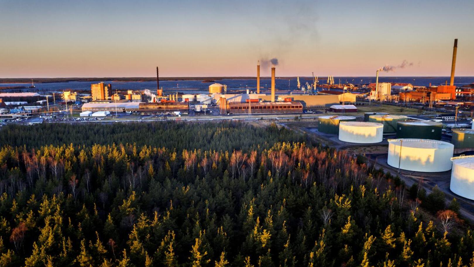 Keliberin litiumkemiantehdas rakennetaan Kokkolan suurteollisuusalueelle. Tehtaan paikka on kuvan metsäalue, tankkien vasemmalla puolella. 