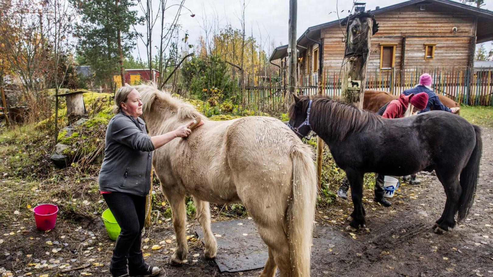 Sanna Ihajoen mielestä on tärkeää, että asiakkaat saavat tehdä hevosten kanssa muutakin kuin ratsastaa.