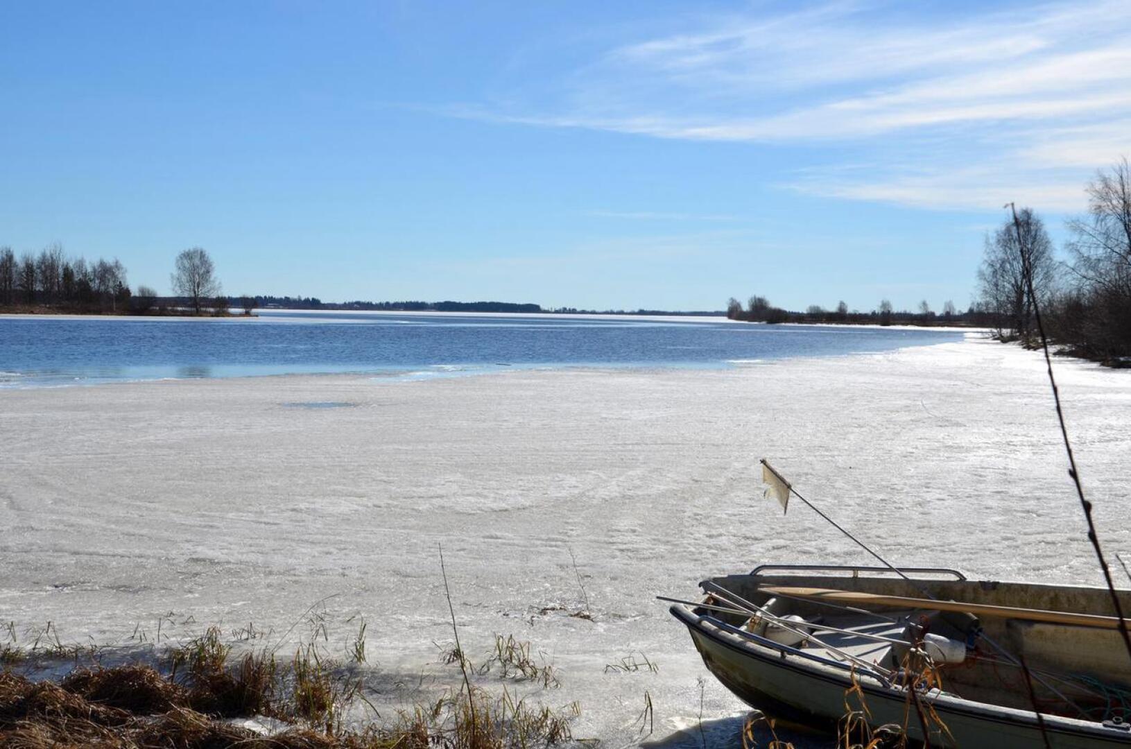 Jäät ovat pääosin sulaneet paikoilleen Kalajoessa. Vesistöennusteen mukaan tulvahuippu on vasta pääsiäisen jälkeen.
