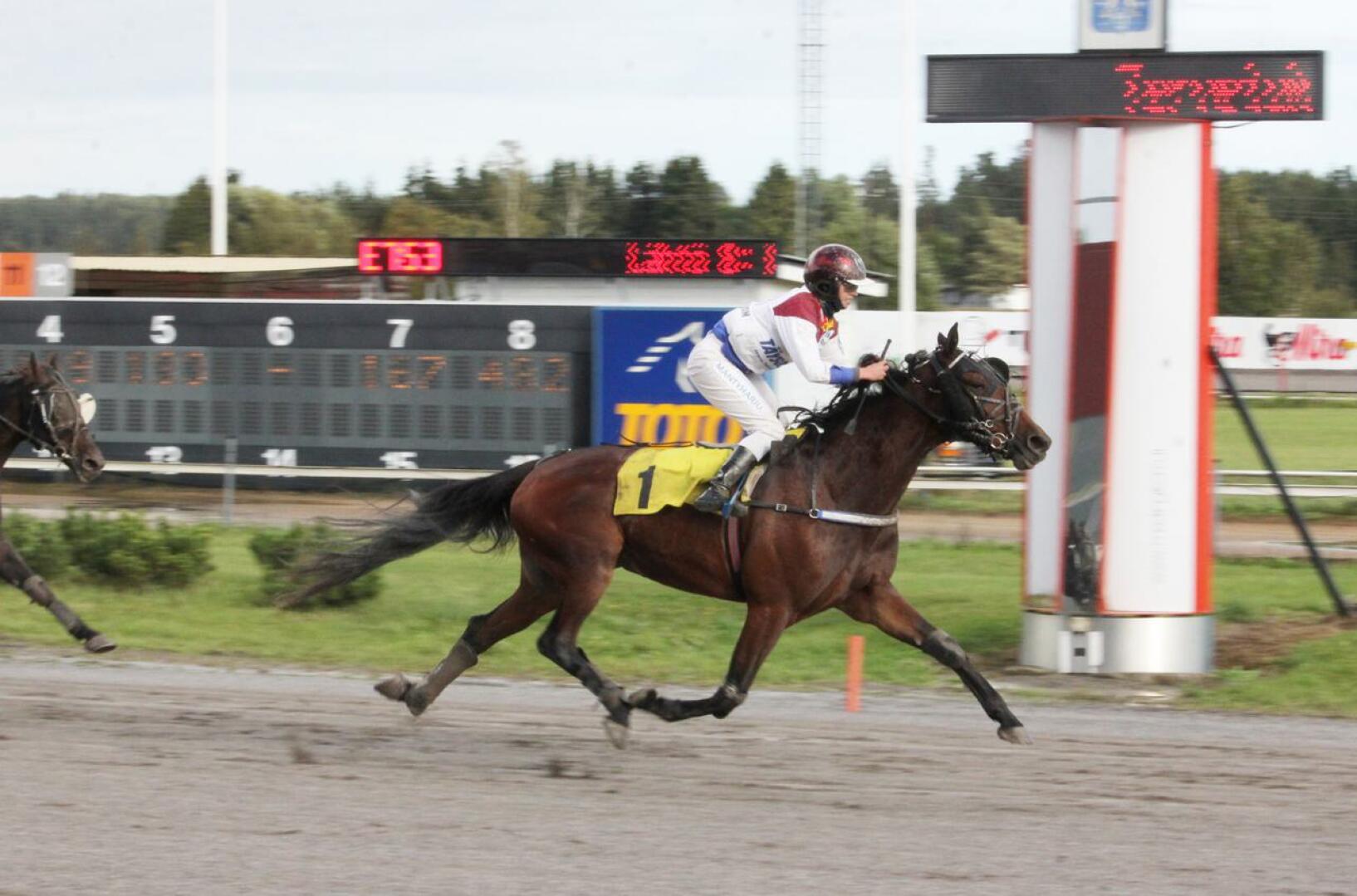 Janita Antti-Roikon Nitro Diablo vyöryi päätöspuolikkaan käynnistyessä varmaan voittoon. Antti-Roiko voitti samalla hevosella PM-kultaa syyskuussa Turussa (kuva).