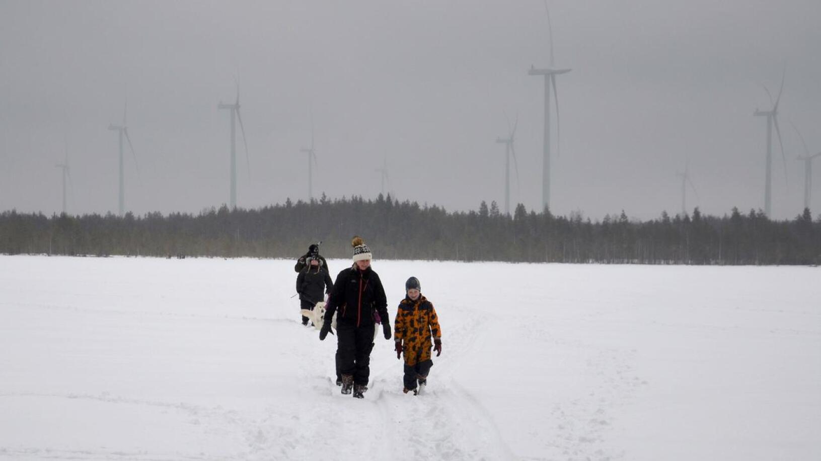 Myllyjen katveessa. Hietajärven pilkkikilpailut järjestettiin taas kolmen vuoden tauon jälkeen. Pilkkijät poistuivat jäältä kello 14. Liisa-Maria Päkkilä ja Anton Haapaniemi tulossa jäältä.