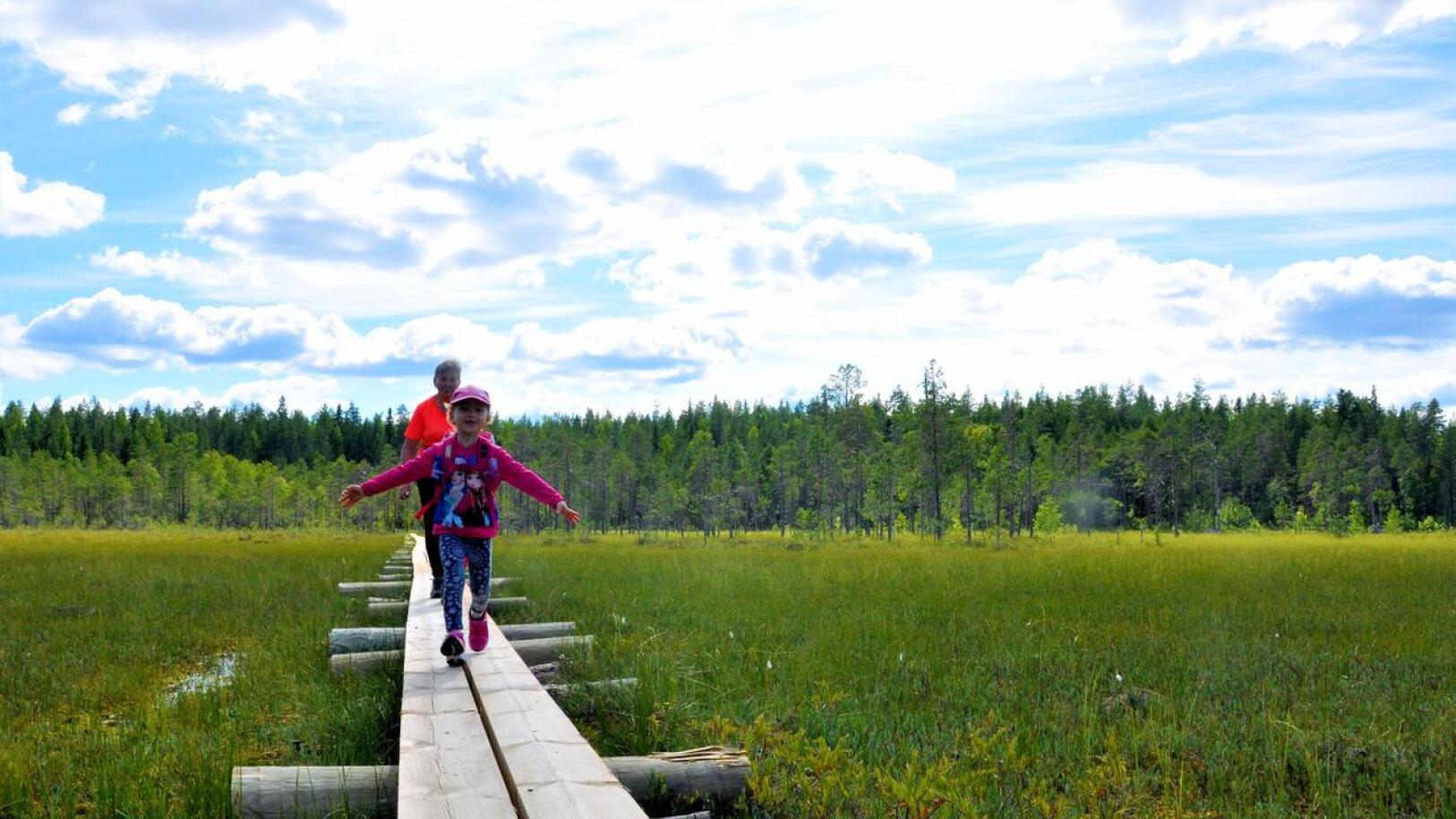 Yksi Salamajärven kansallispuistossa viime kesänä kunnostetuista kohteista oli Vasan kierros, joka on lapsiretkeilijöille sopiva rengasreitti. 