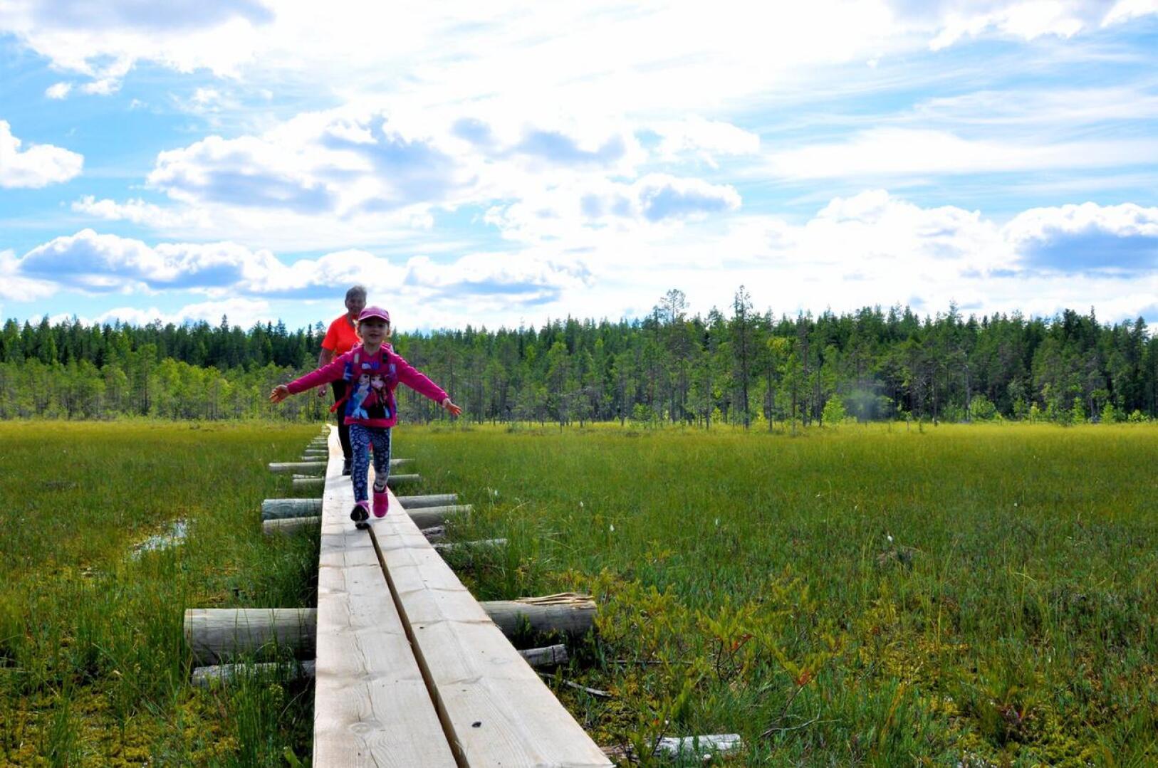 Yksi Salamajärven kansallispuistossa viime kesänä kunnostetuista kohteista oli Vasan kierros, joka on lapsiretkeilijöille sopiva rengasreitti. 