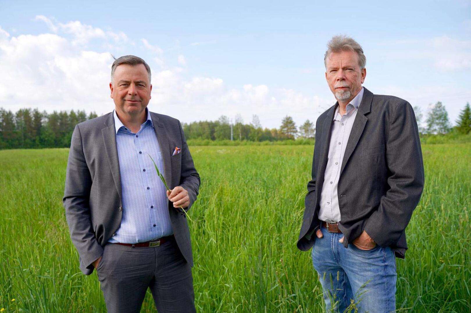 Pedersören kunnanjohtaja Stefan Svenfors (vas.) ja kunnan konserniyhtiön toimitusjohtaja Kjell Gripenberg sekä heinäpelto, joka tulee tuottamaan pääasiallisen raaka-aineen Kolppiin rakennettavalle biokaaasulaitokselle.                        