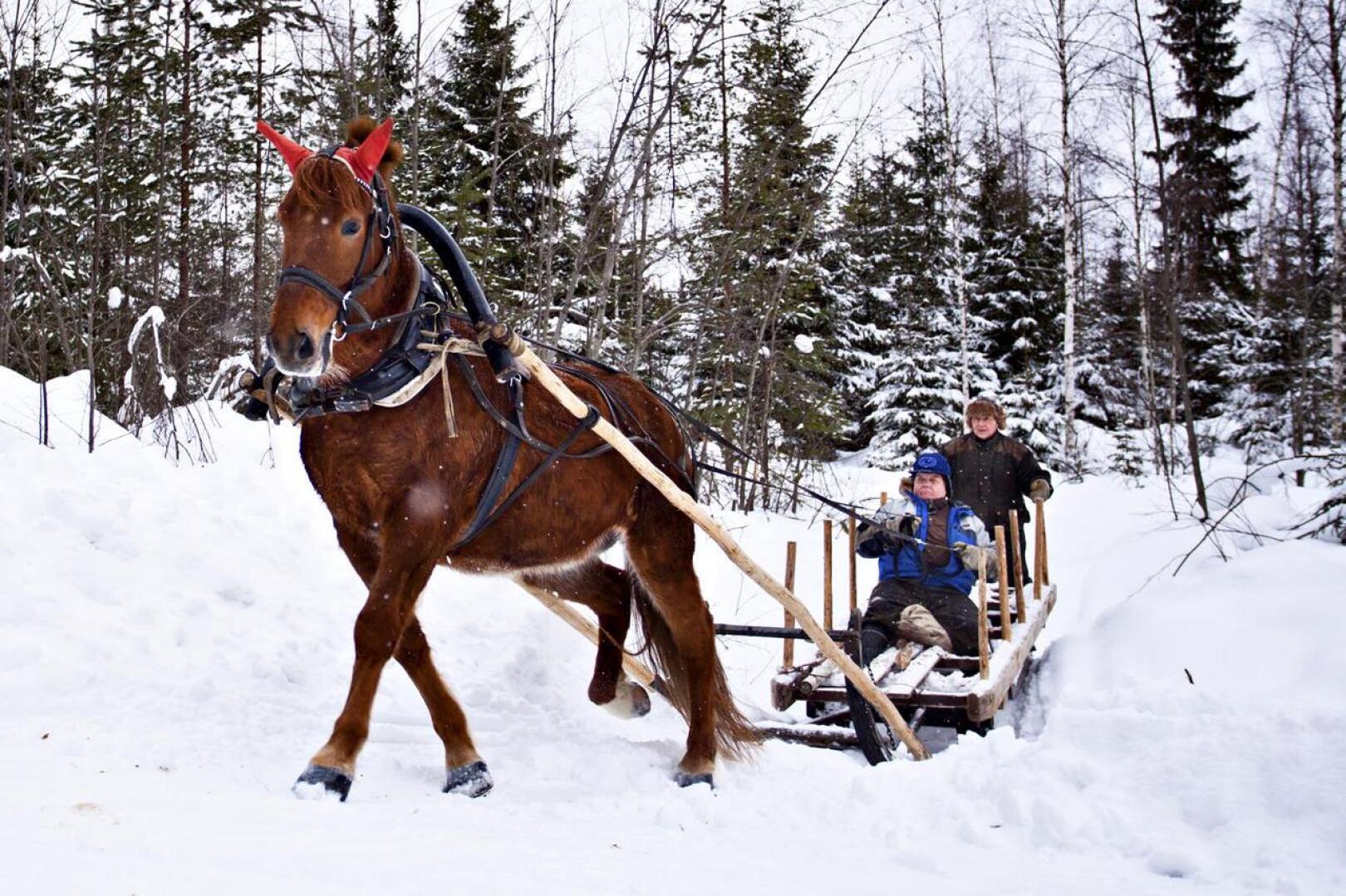 Kirjoittaja muistelee nuorena poikana tekemäänsä puuajoreissua hevosella talvipakkasella. Tässä kuvassa reessä istuvat nivalalaiset Niilo Ampula ja Raimo Kaarlela.
