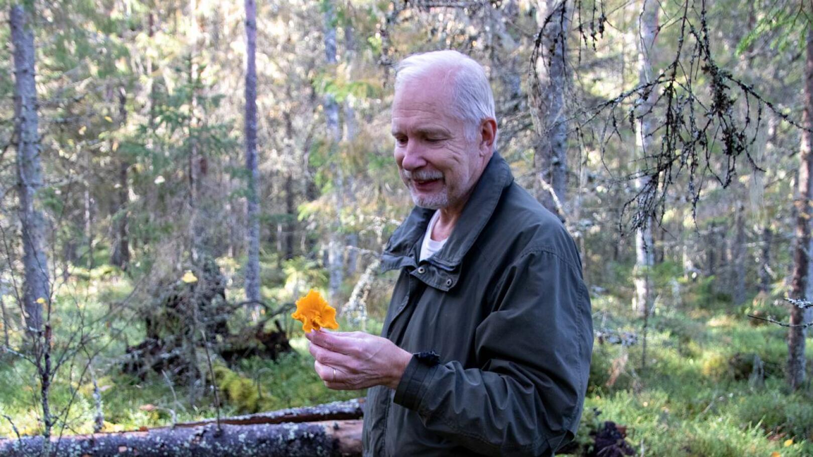 Kenneth Bergroth kertoo, että sienestysharrastus kannattaa aloittaa hankkimalla sienikirja.