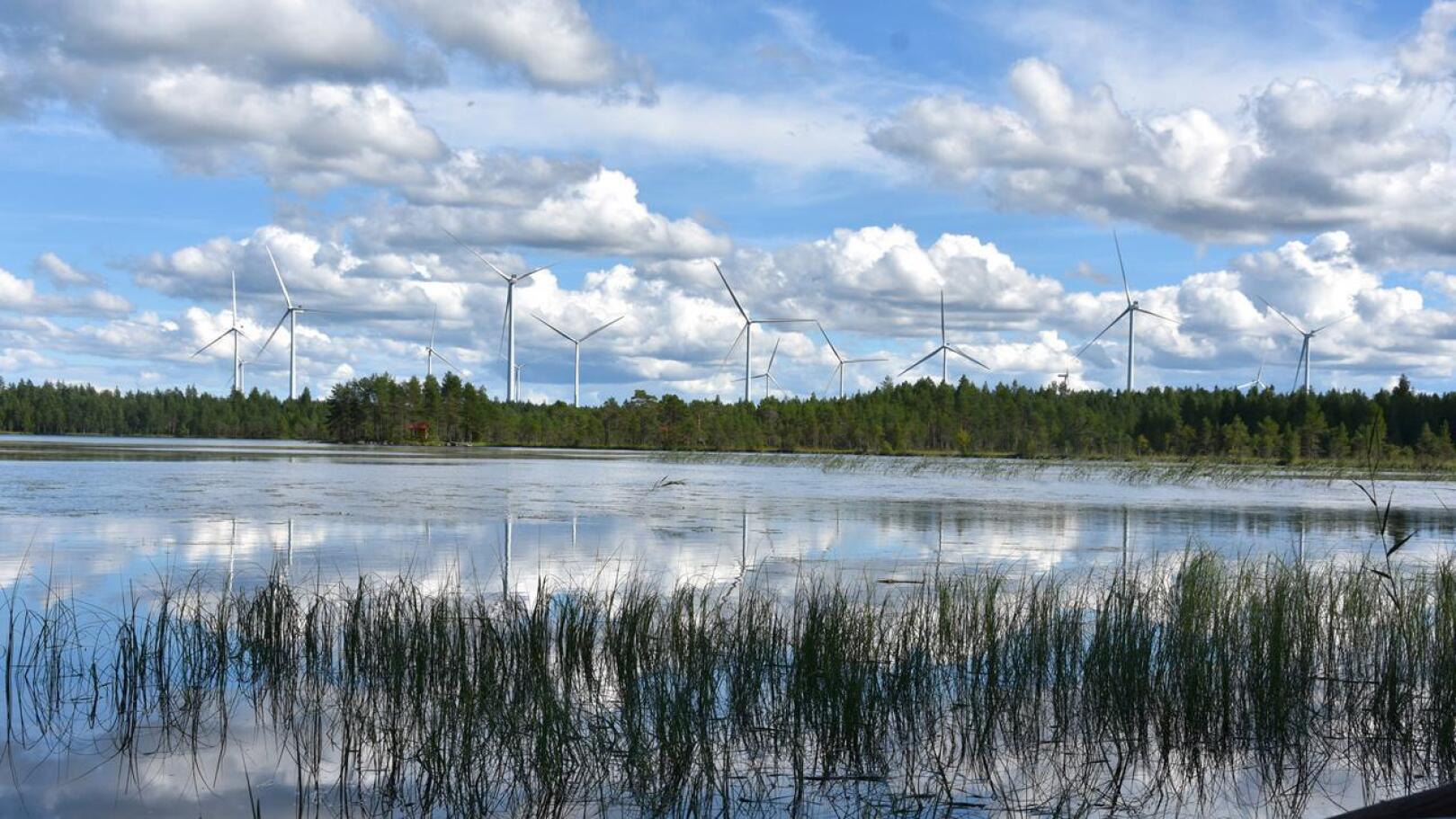 Mutkalammin tuulipuisto sijaitsee Kannuksessa ja Kalajoella. Kuva Hietajärveltä elokuussa 2022.