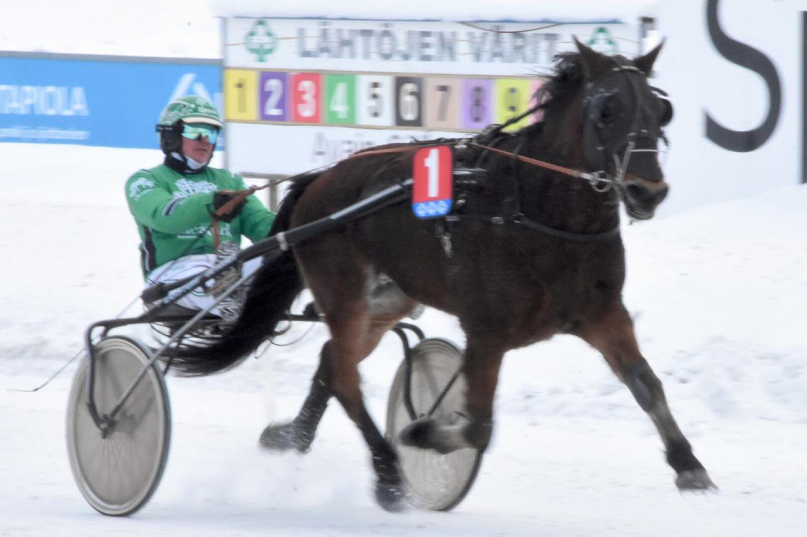 Niko Jokelan ja Juha-Matti Paavolan yhteistyö toi kaksi voittoa. Jokelan ohjastama Siron Peli oli kylmäveristen pitkän matkan ykkönen.