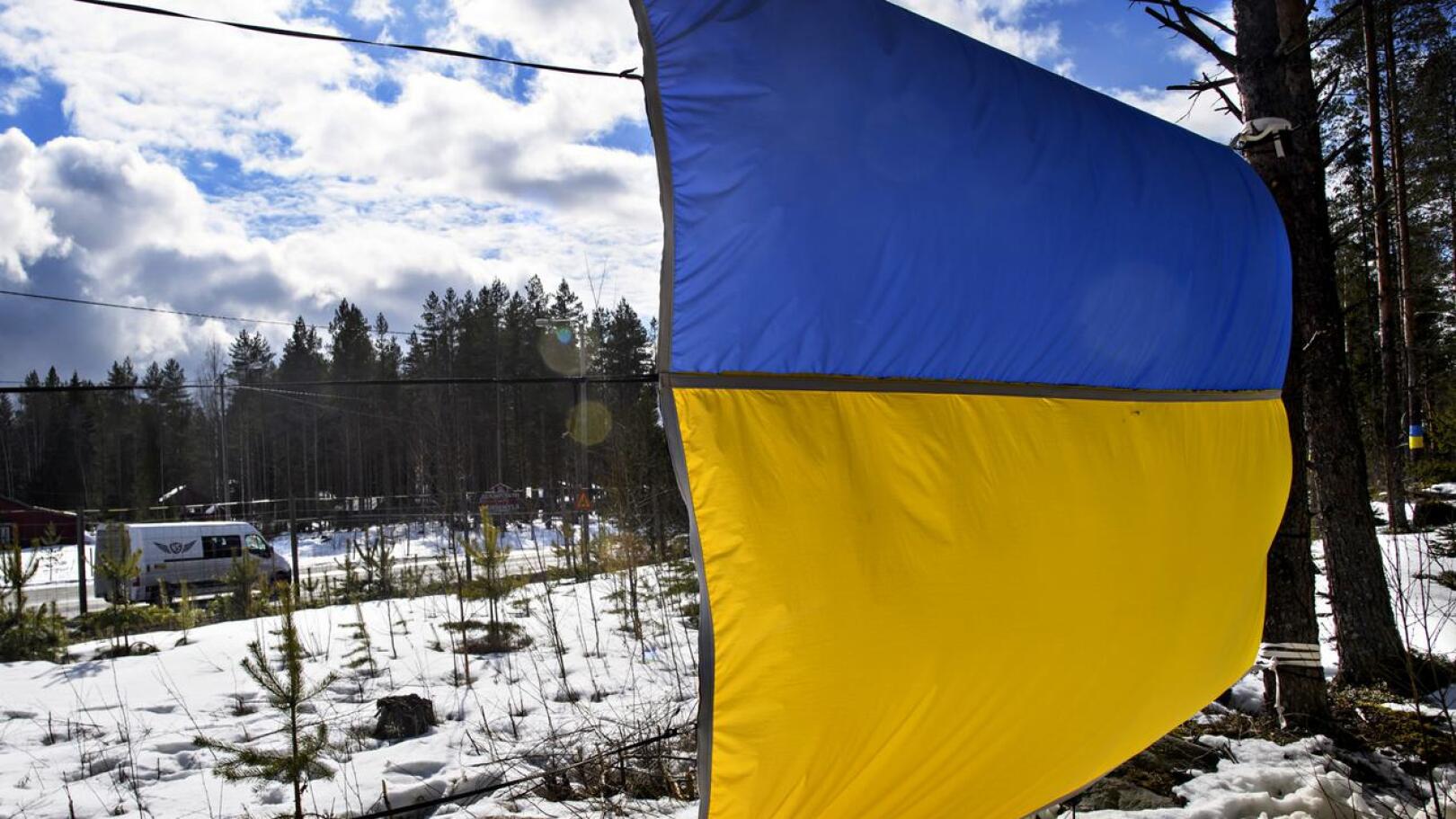Viimeisimpien tietojen mukaan Alavieskassa on 34 tilapäisen suojelun piirissä olevaa ukrainalaista.