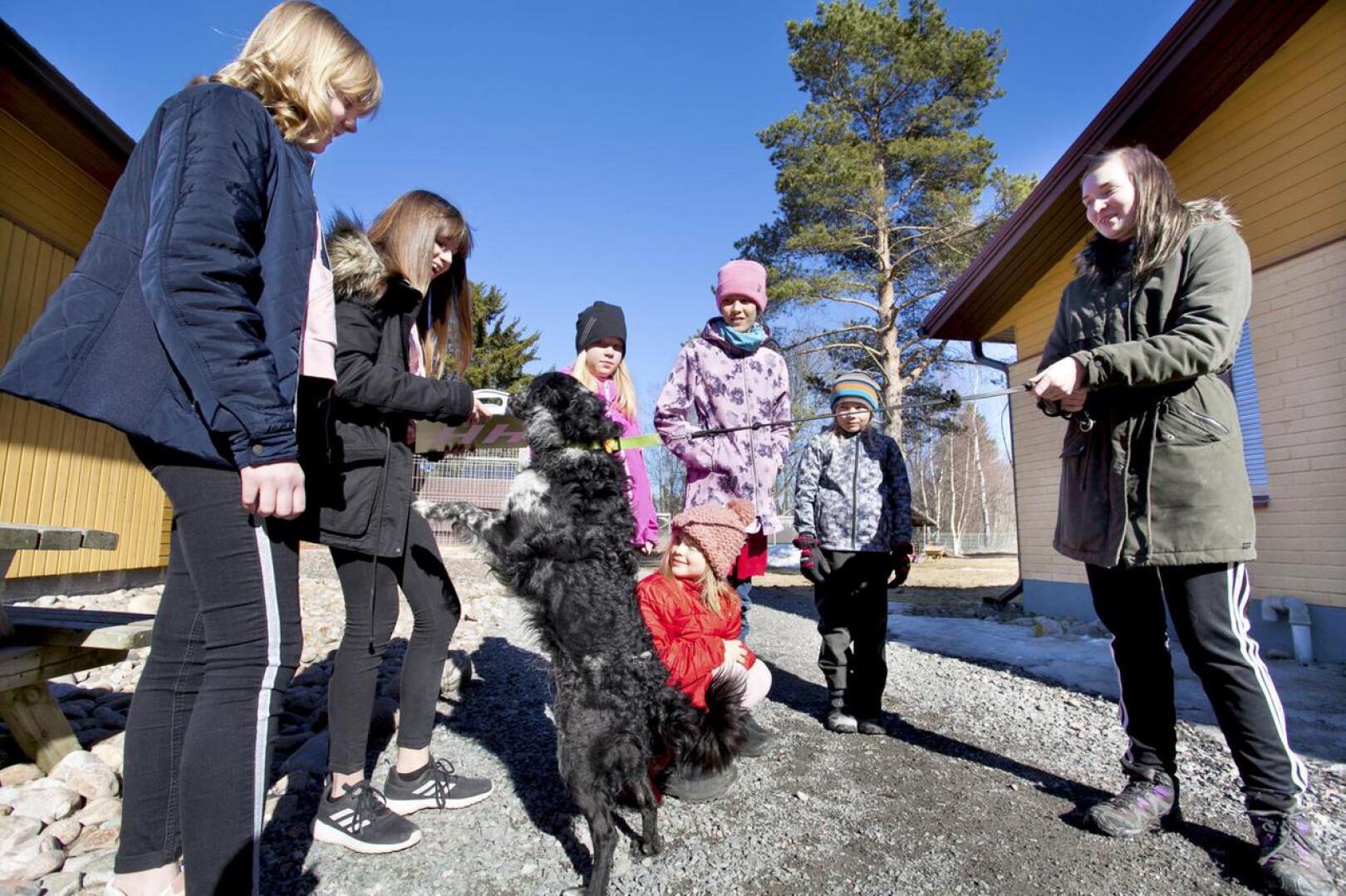 4H:n eläinkerhon ohjaajat Neea Saari ja Neea Pystö sekä eläinkerholaiset Fanni Mankinen, Juulia Isopahkala, Linda Näveri ja Teo Anttiroiko antoivat koirankeksejä Henna Similän Orion-koiralle.