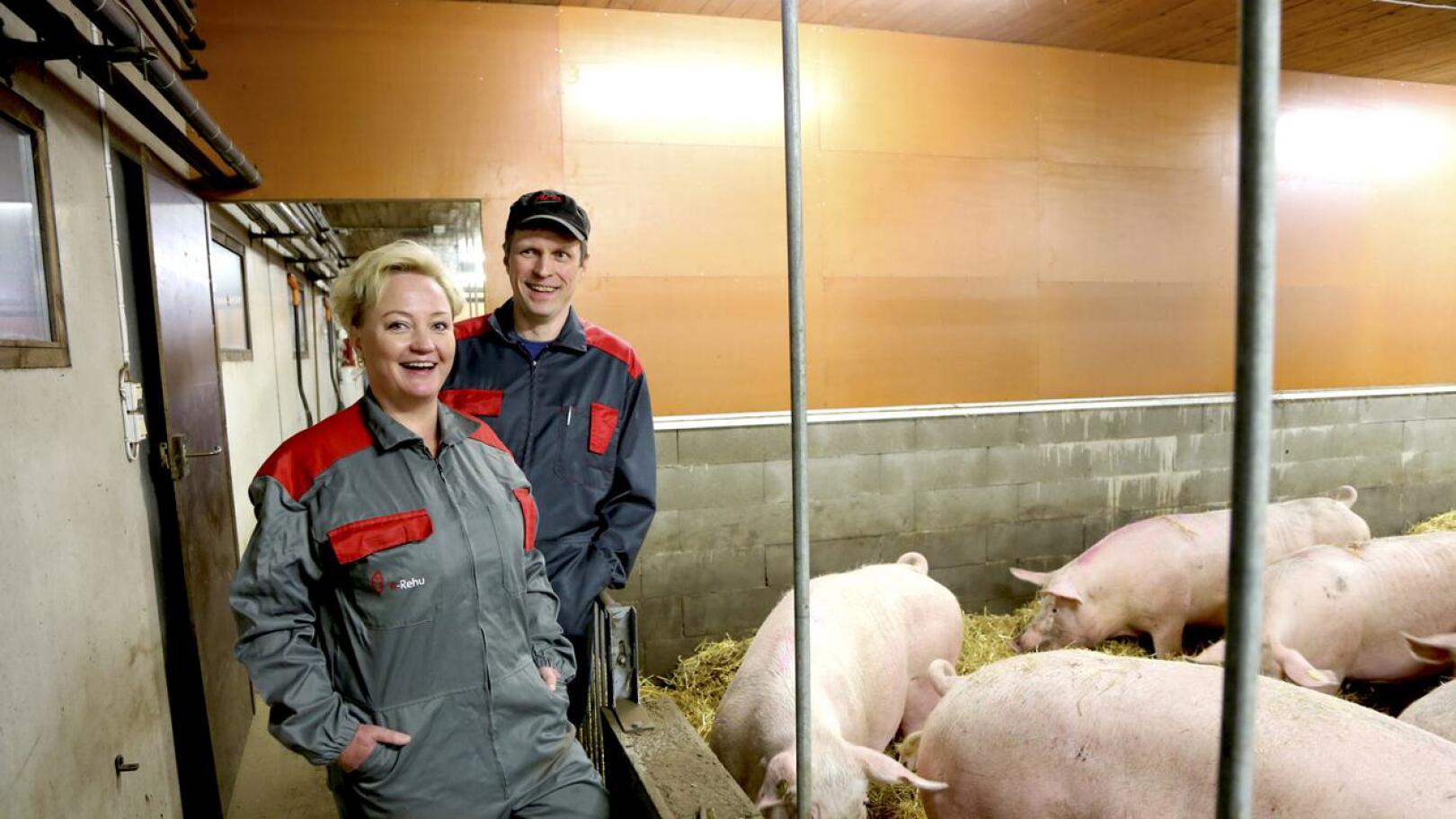 MEP Elsi Katainen on maatalouden asialla vieraillut takavuosina Vesa Paavolan sikalassa.