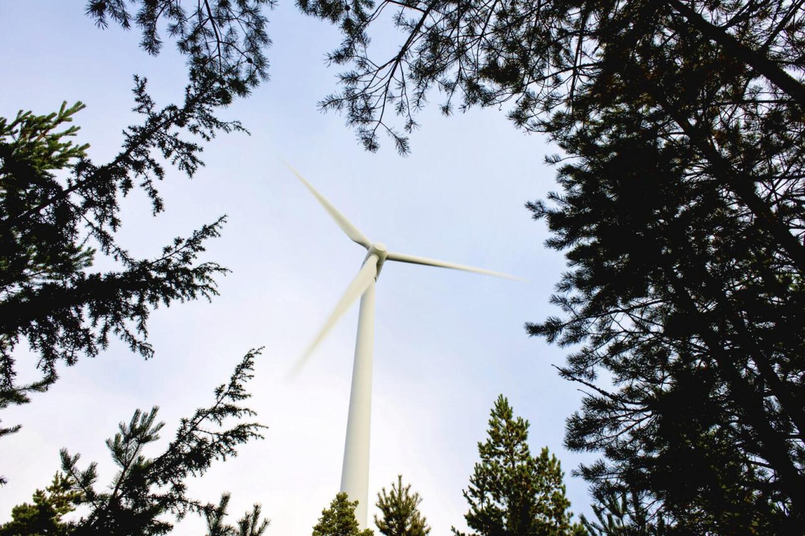 Tuohimaa-Riutanmaan tuulivoimapuistoon tulisi 65–73 voimalaa.