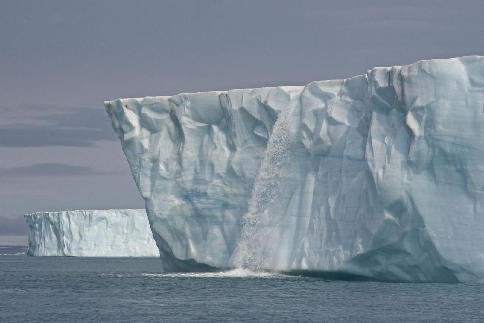 Kun arktisen alueen jäätiköt sulavat, ne nopeuttavat ilmastonmuutosta, mutta myös heikentävät jääpeitteestä riippuvaisten lajien elinympäristöä.