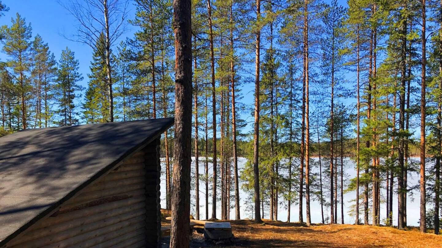 Alustavan arvion mukaan Lampinjärven laavun ympäristössä oleva metsäalue on luonnontilainen.