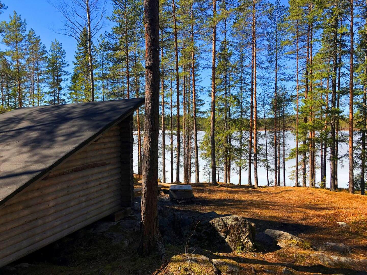 Alustavan arvion mukaan Lampinjärven laavun ympäristössä oleva metsäalue on luonnontilainen.