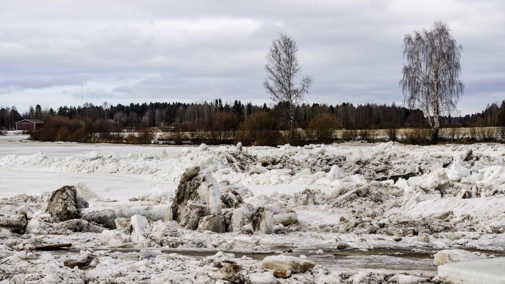 Pioneerit hälytettiin viime keväänä avuksi Alavieskaan. Toista kilometriä pitkää jääpatoa ei kuitenkaan ryhdytty räjäyttämään.  