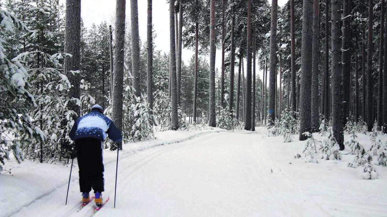 Laturetki hiihdetään lauantaina Lumimaan ja Korkatin välillä. 
