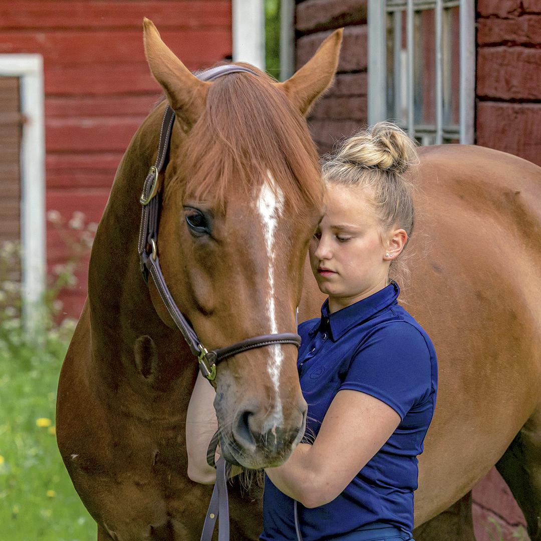 Laura Kangasniemi treenasi vielä viime kesänä kuvassa olevan Fidel-ratsun kanssa. Sittemmin hän on hankkinut oman hevosen, puoliverisen ruunan Goldprins, kutsumanimeltään Prinssi.