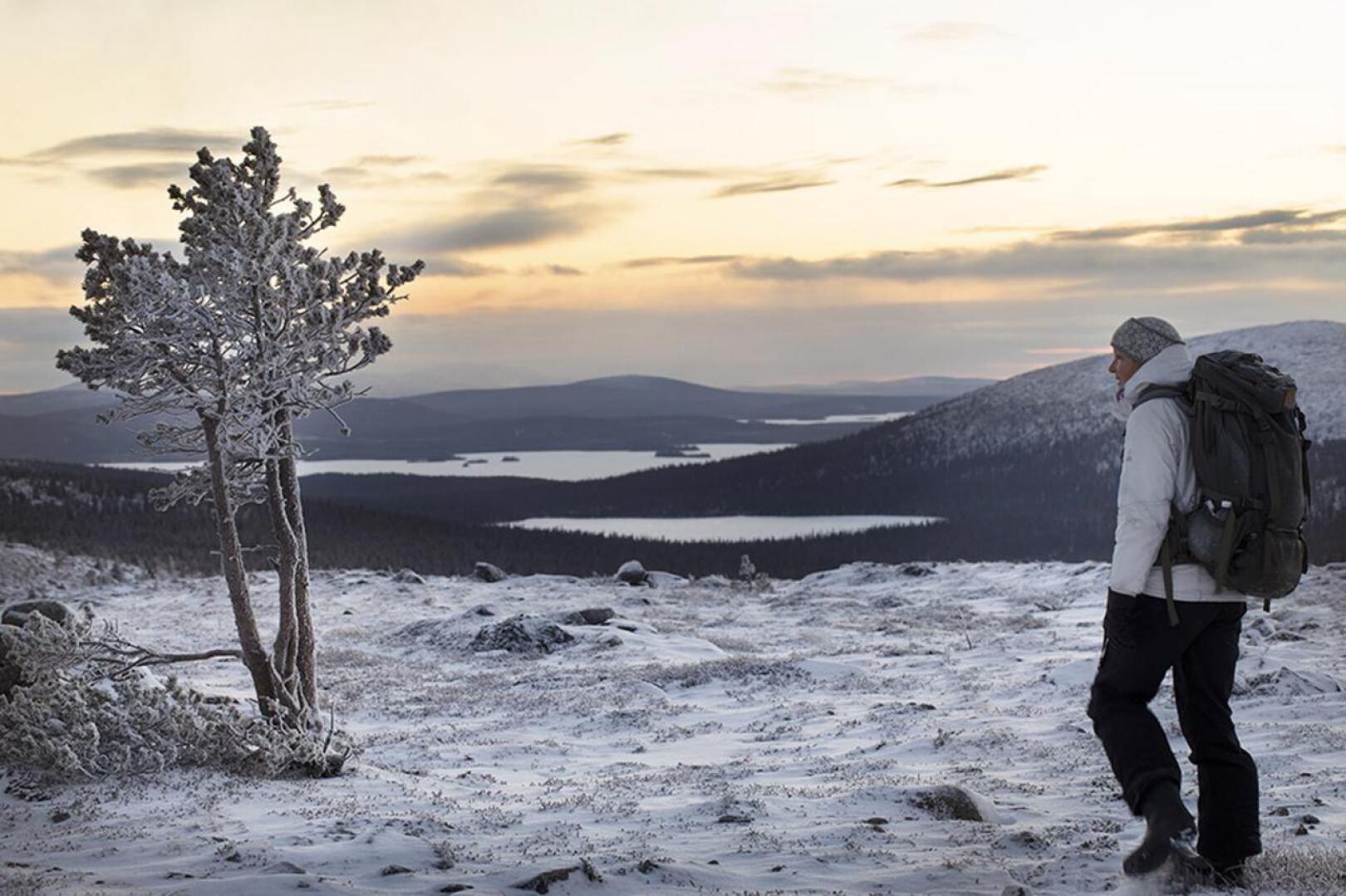 Pallas-Yllästunturin kansallispuisto on yksi niistä Suomen 40 kansallispuistosta, johon luontokuvaaja Tea Karvinen perehtyi tehdessään kirjaansa.