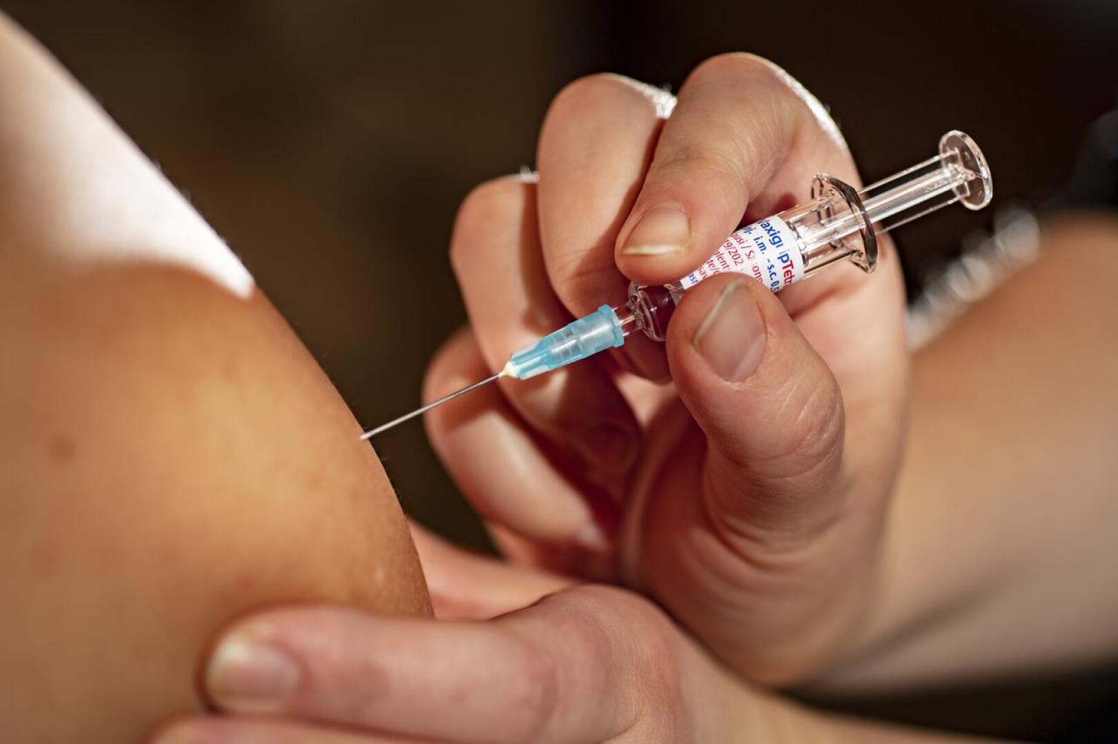 THL on hankkinut kansallista rokotusohjelmaa varten 1,7 miljoonaa pistettävää VaxigripTetra -rokotetta kaikille ikäryhmille.