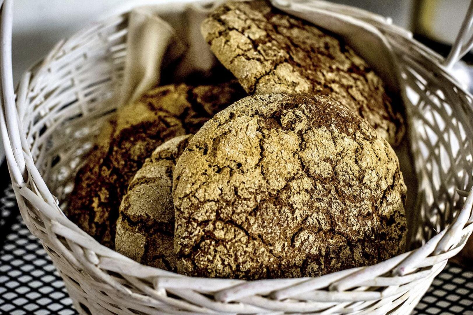 Kärsämäelle kylvetään Rauhanpelto 12. elokuuta. Rauhanpellon jyvistä leivotaan symbolisesti rauhanleipiä. 