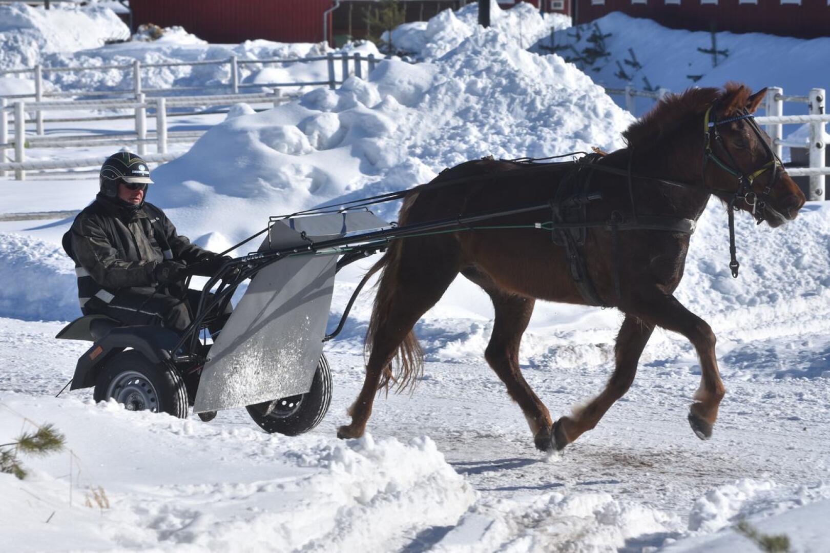 Raviammattilaiset, -harrastajat sekä hevosalan opiskelijat tarvitsevat ympärivuotista kilpailutoimintaa ja radan kunnossapitoa Nikulassa.