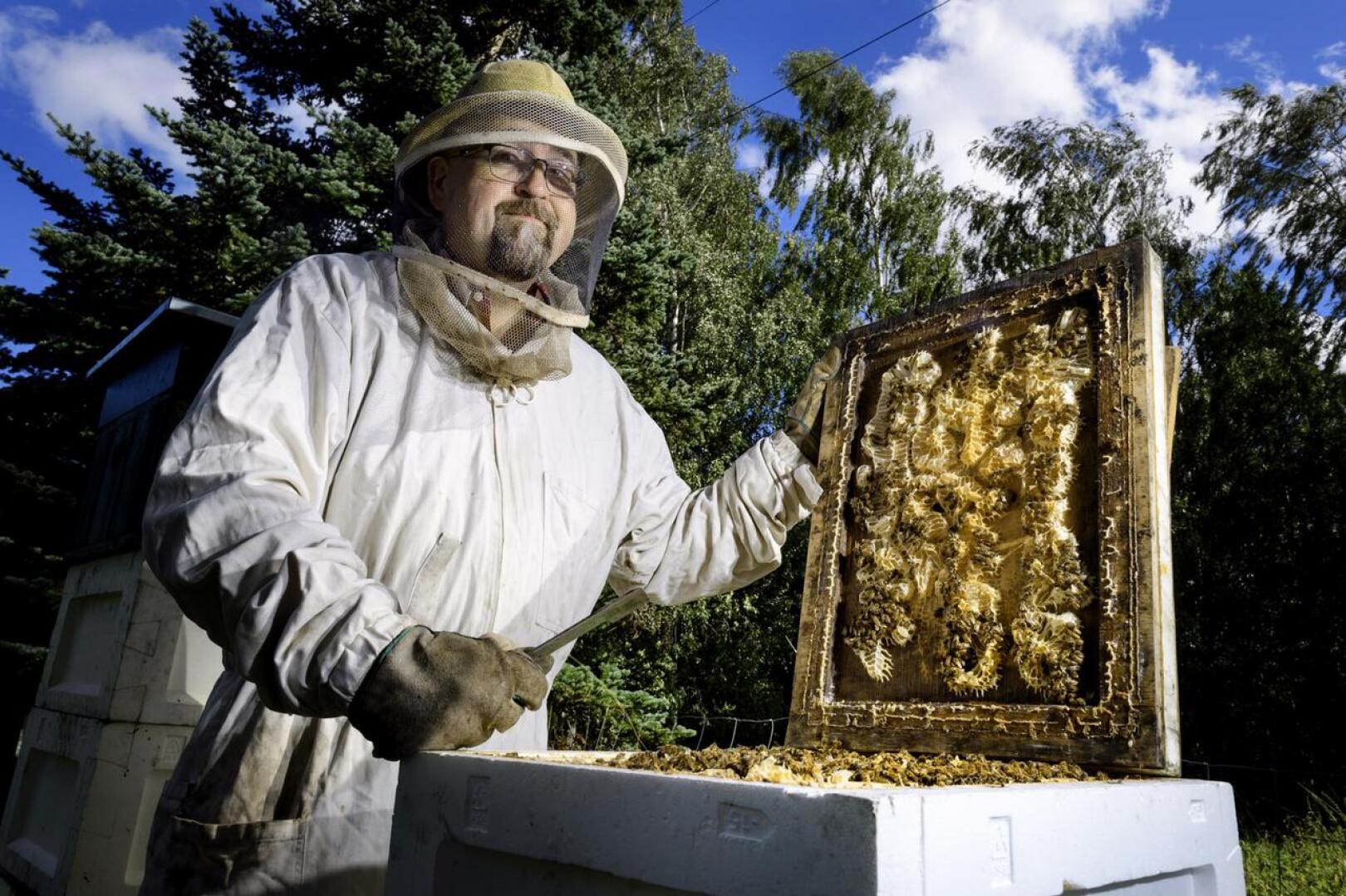 Jarkko Isokungas tuottaa hunajaa Keski-Pohjanmaalla ja hänellä on noin 40 pesää ympäri aluetta. Hunajasato vaihtelee vahvasti alueittain. 