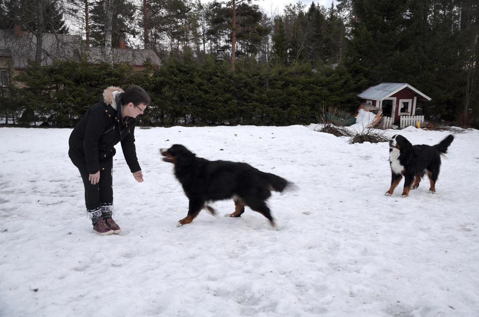 Anu Saukko liikkuu paljon ulkona perheen koirien kanssa, koska nyt jaksaa paremmin kuin vuosi sitten, jolloin painoi puolet nykyistä enemmän.
