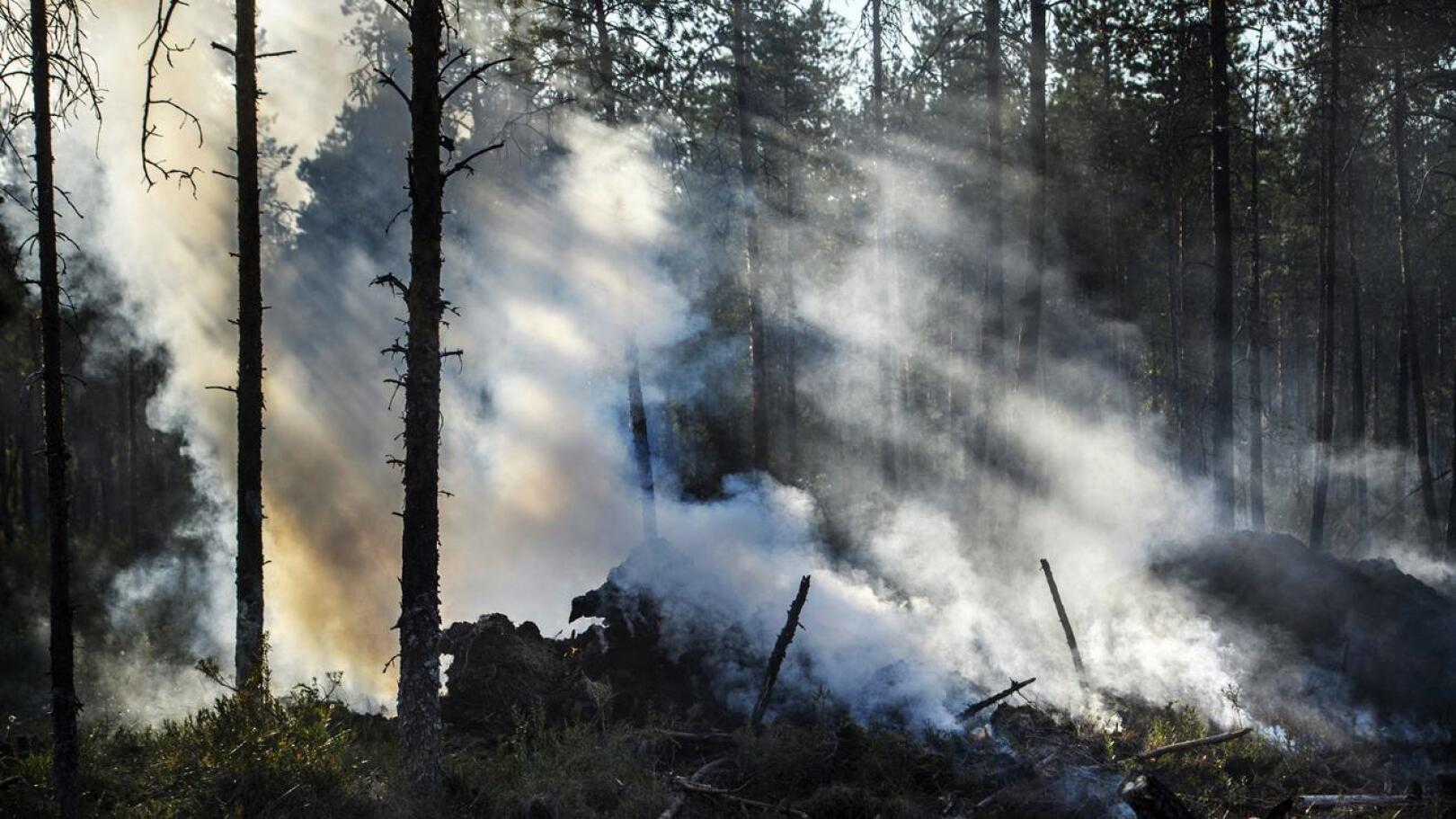Kalajoen laajan metsäpalon alkuhetkiä voidaan käsitellä vielä hovioikeudessakin.