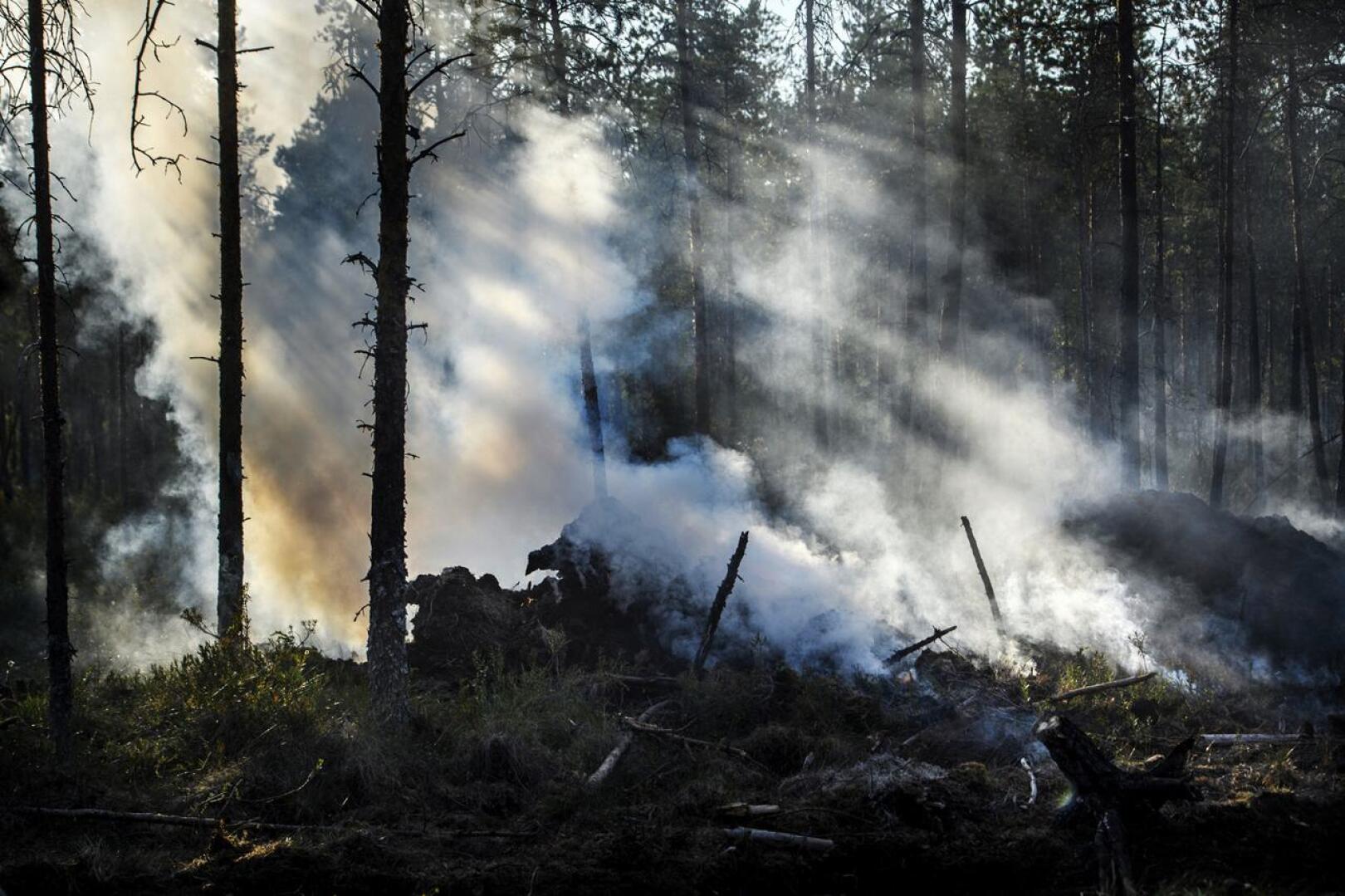 Kalajoen laajan metsäpalon alkuhetkiä voidaan käsitellä vielä hovioikeudessakin.