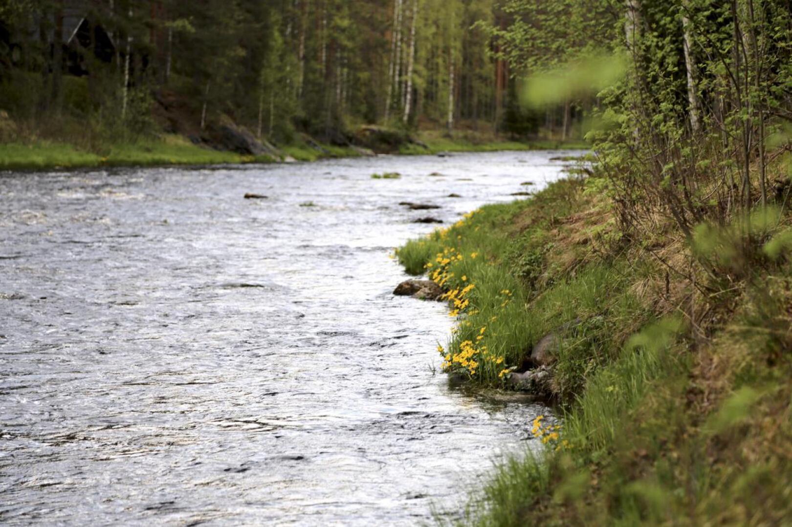 Jokien virtaamat ovat lähentelevät kuivuuden vuoksi normaalin heinäkuun lukemia.