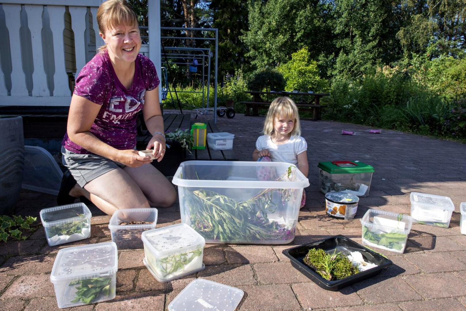 Tanja Yli-Tokola ja hänen 4-vuotias tyttärensä Viola ruokkivat perhosentoukkia muun muassa horsmilla.