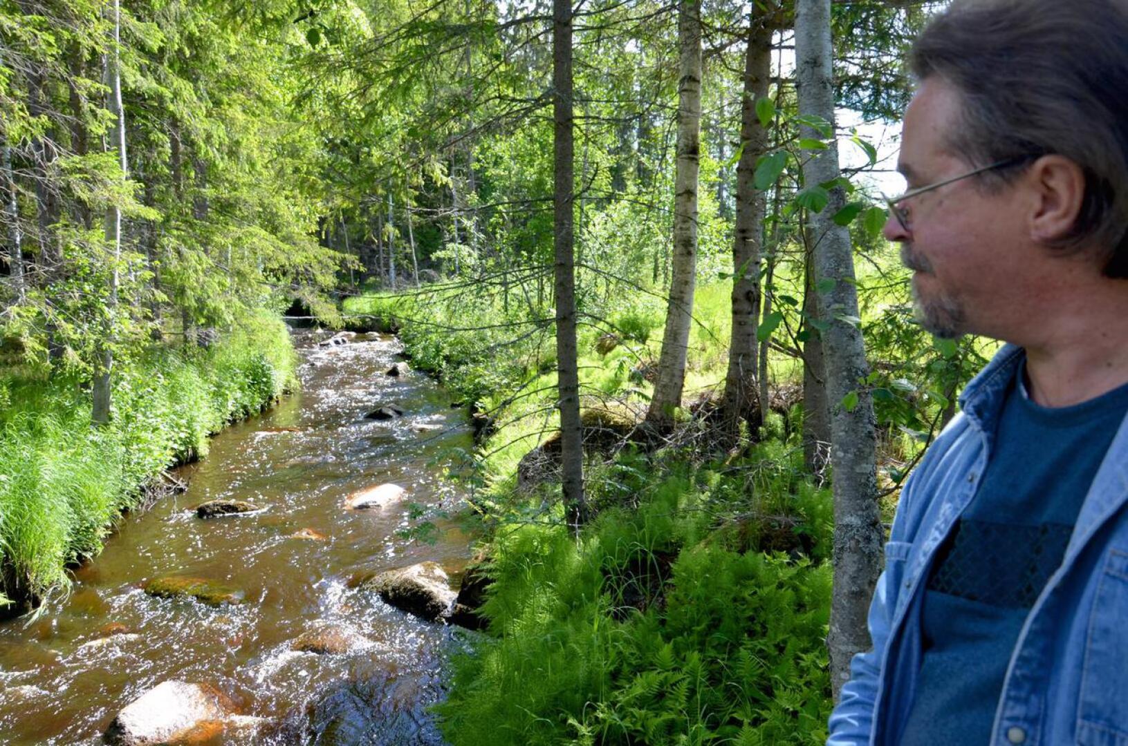 Tapio Koistinaho käymässäkesällä 2017 Mertuanojalla. Alueella sijaitsevan järvikuivion kohtalo on toistaiseksi avoin.