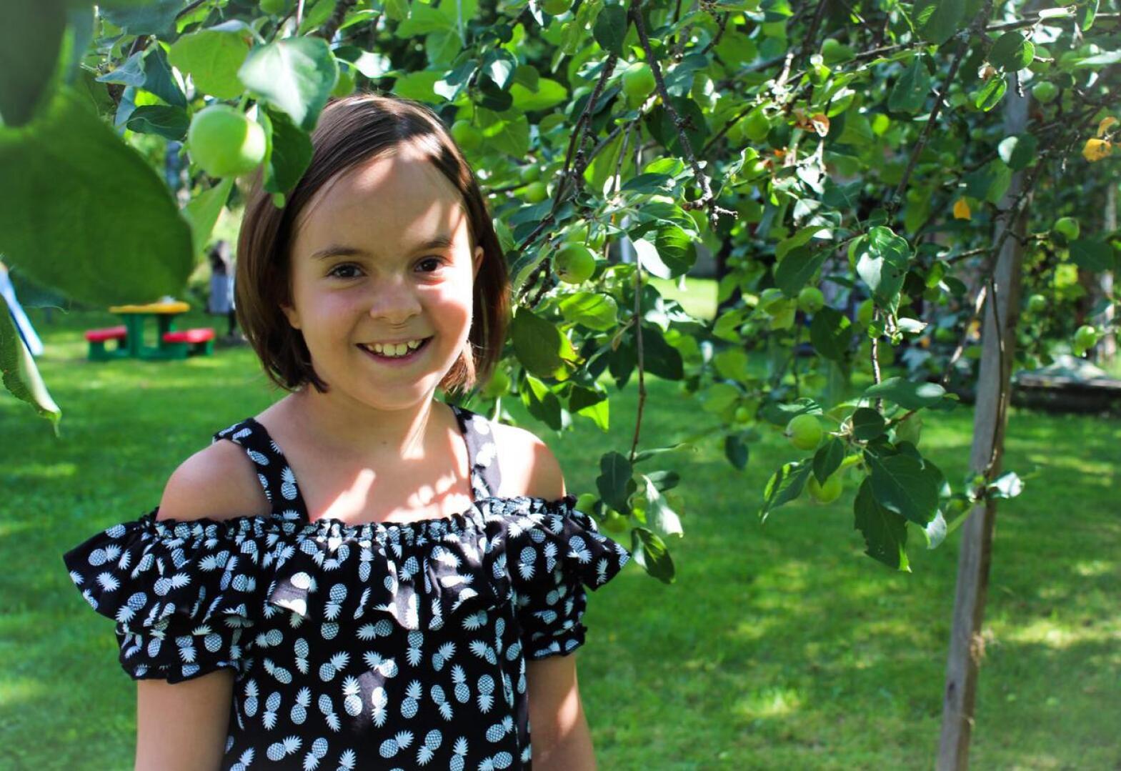 Taekwondoa, balettia ja voimistelua harrastava Sara kiipeili kesälomareissulla mummulan omenapuissa.