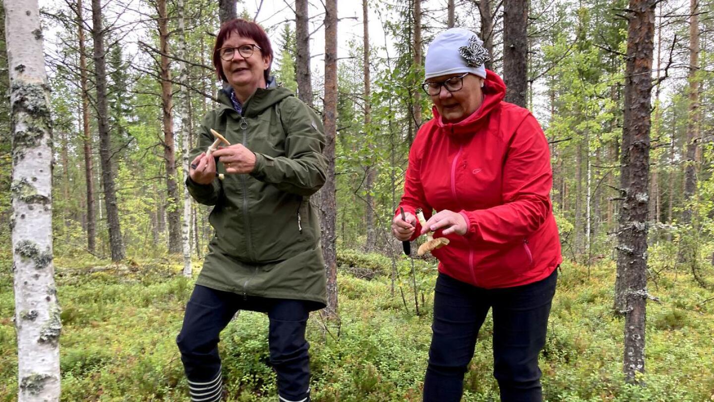 Tuula Ravaska ja Paula Leppänen olivat lähteneet sienikurssille hankkimaan lisää osaamista viime syksynä heränneen sieni-innostukseen.