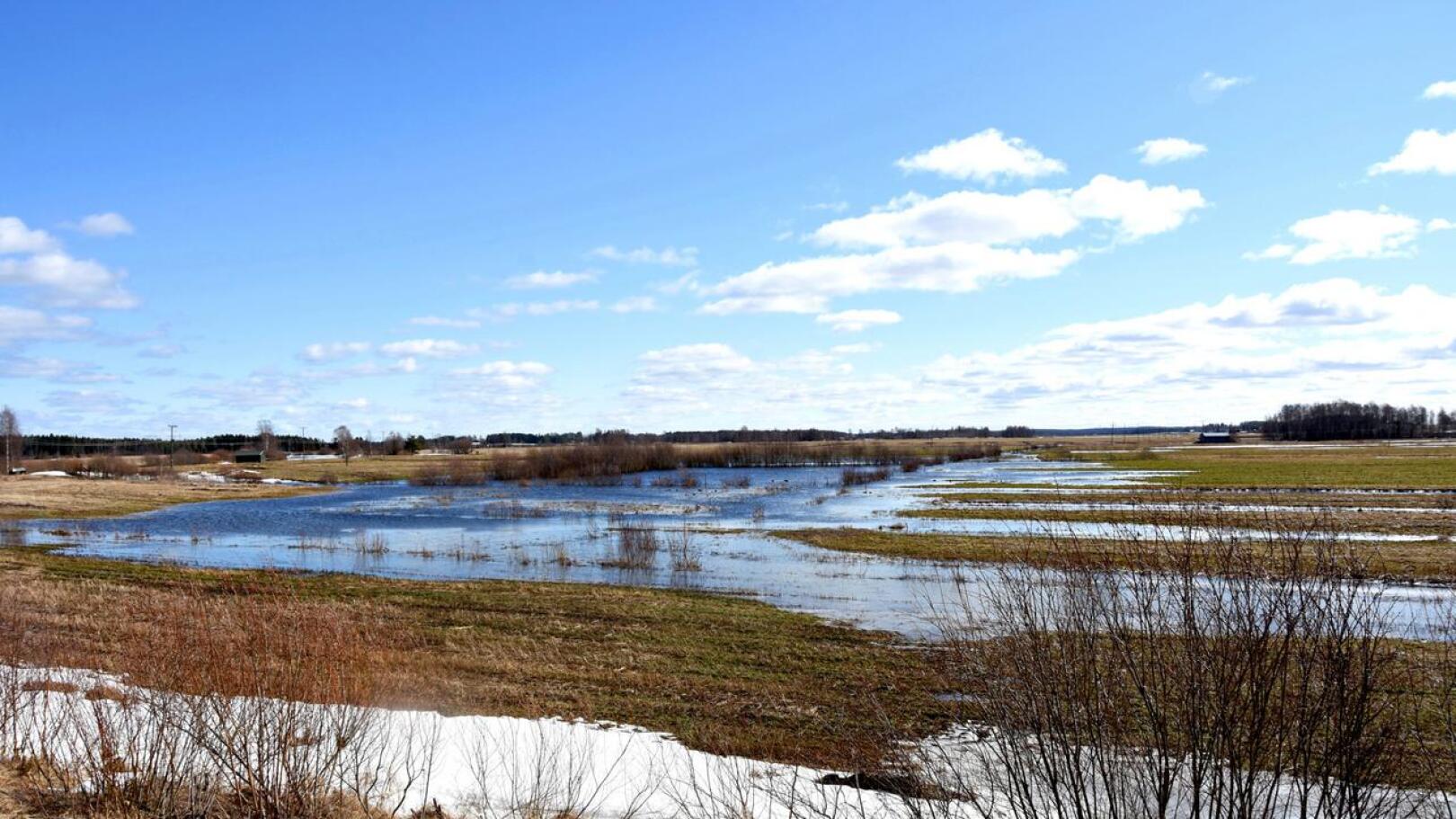 Keväälle 2022 ennakoidaan keskimääräistä suurempaa tulvaa. Kuvassa huhtikuun 2021 tulvia Vattukylältä.