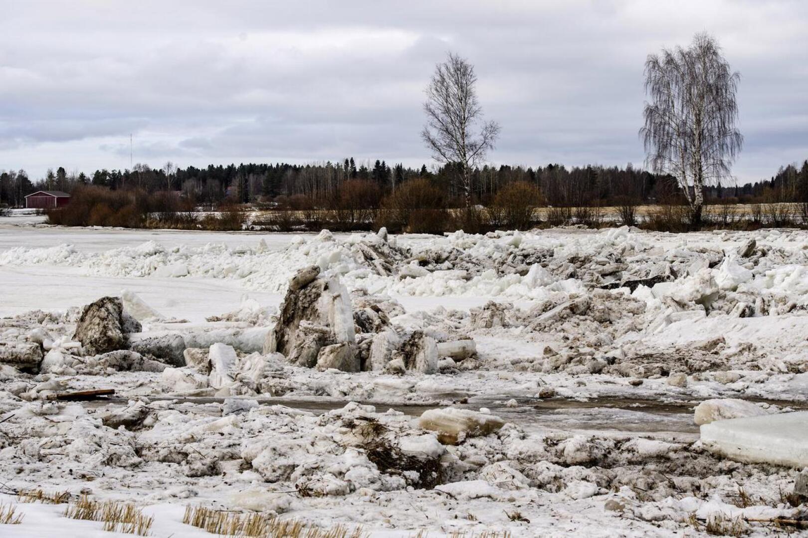 Pioneerit hälytettiin keväällä 2018  avuksi Alavieskaan. Toista kilometriä pitkää jääpatoa ei kuitenkaan ryhdytty räjäyttämään