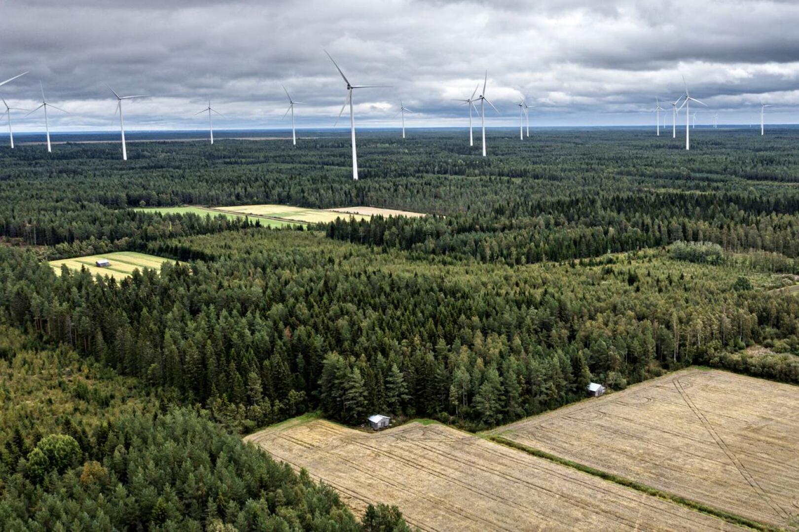 Halsuan Honkakankaan ja Kanniston tuulivoimaloiden osayleiskaavasta päätetään syyskuussa. Arkistokuvassa Kalajoen Mustilankankaan tuulipuisto. 