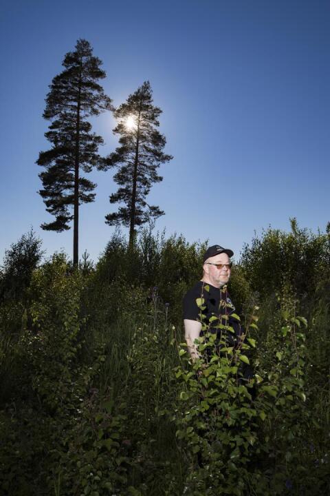 Markku Pajala sanoo metsien kasvavan aina vain nopeammin.