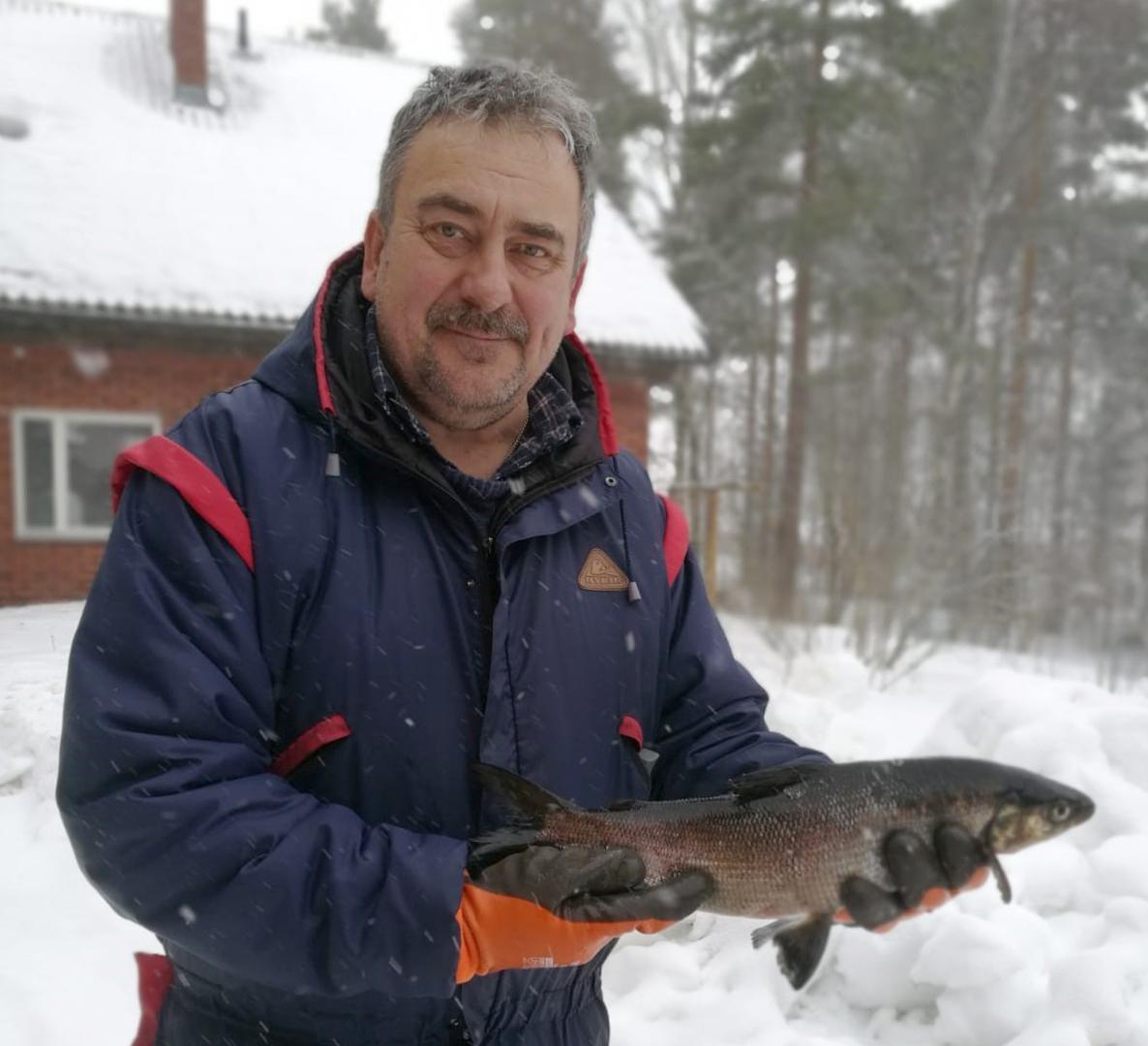 Kaksi yllätystä. Lestijärveläinen Jorma Koski-Vähälä sai viime viikolla verkoillaan  kaksi hyvänkokoista siikaa. Se yllätti kalastajan niin kuin monet muutkin. Tällä viime lauantain saaliilla oli painoa 1,1 kiloa ja pituutta 50 senttimetriä. 