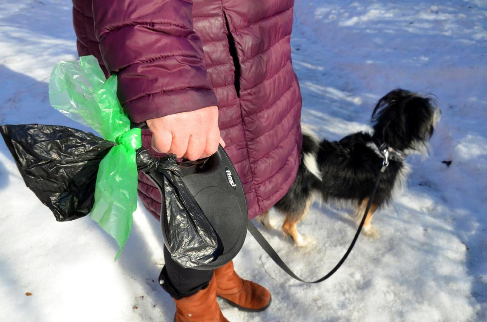 Perhon Mäntymetsän päiväkodin Mäyrät-ryhmäläiset toivovat mielipidekirjoituksessaan, ettei koirankakkoja jätettäisi maahan.